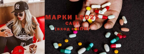 индика Алексеевка