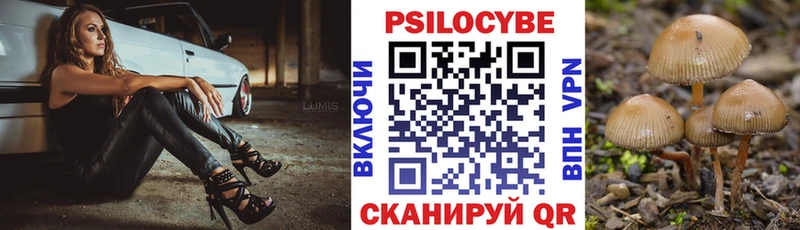 Псилоцибиновые грибы Cubensis  Жирновск 